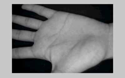 سیستم تشخیص کف دست انسان در نرم افزار Matlab